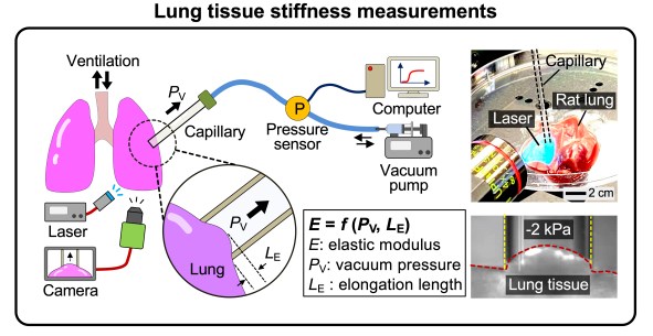 research01_stiffness